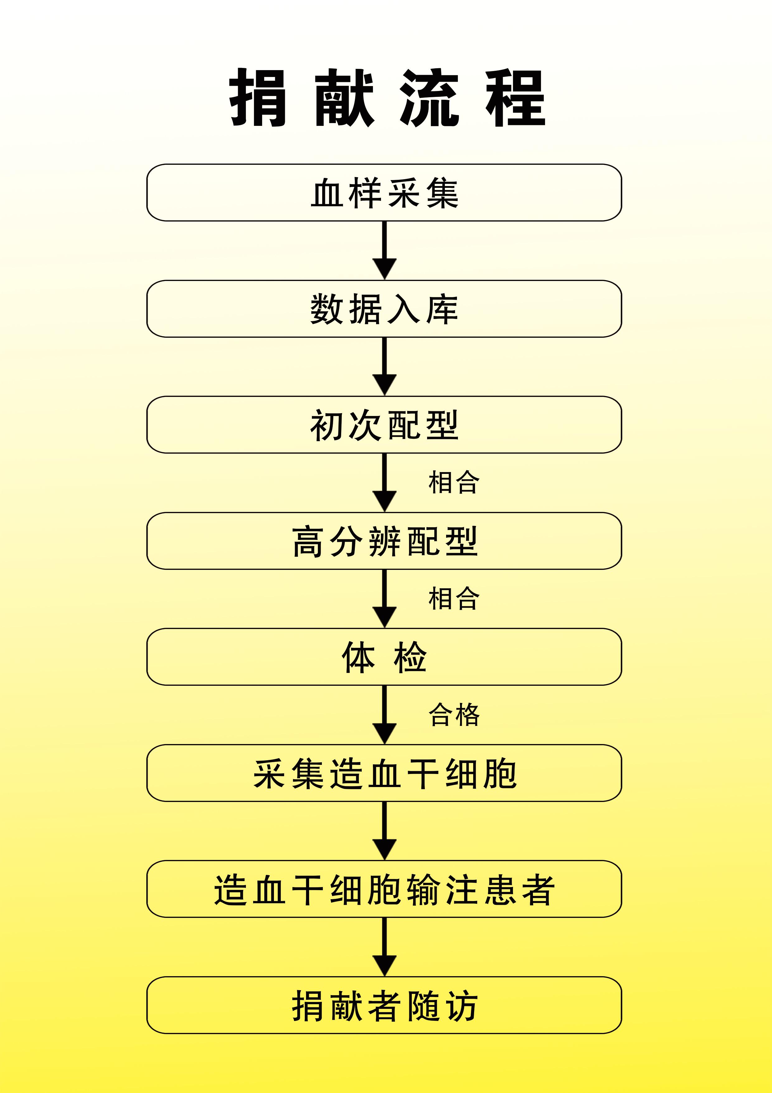 捐献流程.jpg